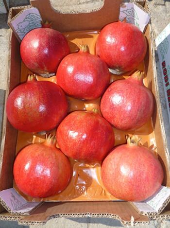 Pomegranate Wonderfull - FRUIT PERFORMANCE S.L.U